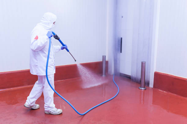 Professional Pressure Washing in Nederland, TX